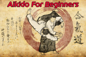 Aikido Techniques. Online Course