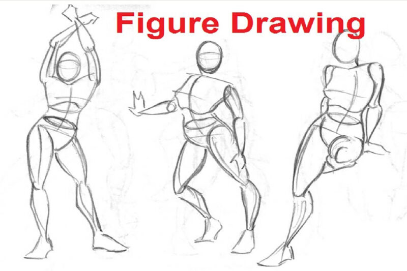Guide to Drawing Proportional Human Figures Without Using Models – How to  Draw Step by Step Drawing Tutorials | Human figure, Human drawing, Drawing  the human head
