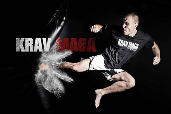 Krav Maga Techniques. Online Course