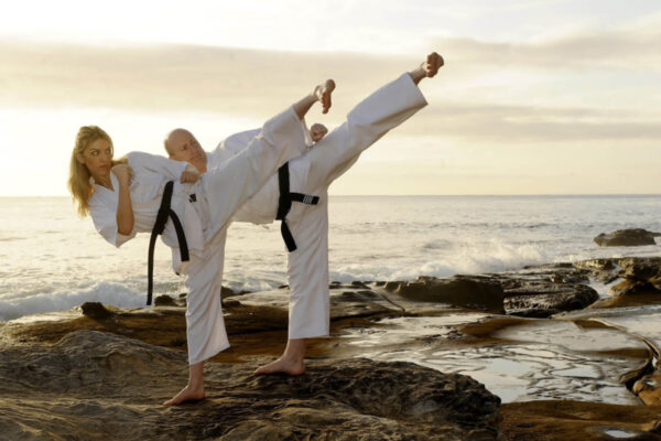 Taekwondo training. Online course.