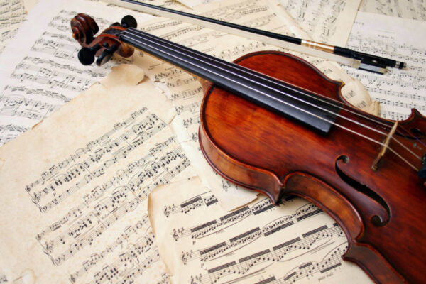 Violin Lessons For Beginners. Online Course