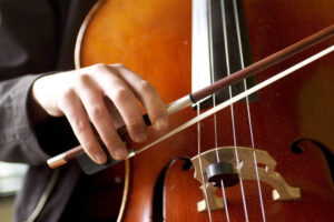 Cello Lessons for Beginners. online Course