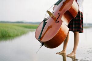 Double Bass Lessons. Online course