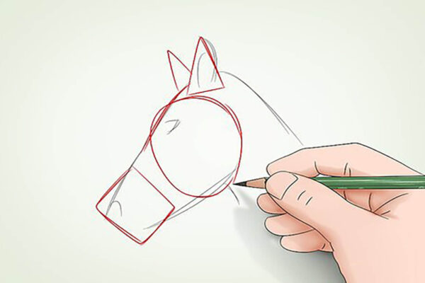 How To Draw