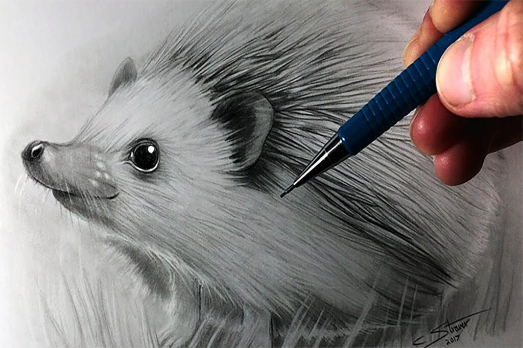 Learn To Draw Animals - Easy Learning