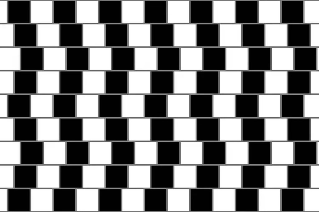 Optical Illusions