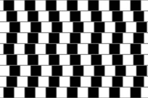 Optical Illusions