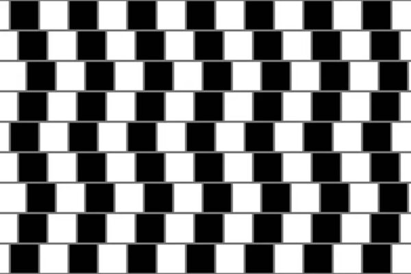 Optical Illusions