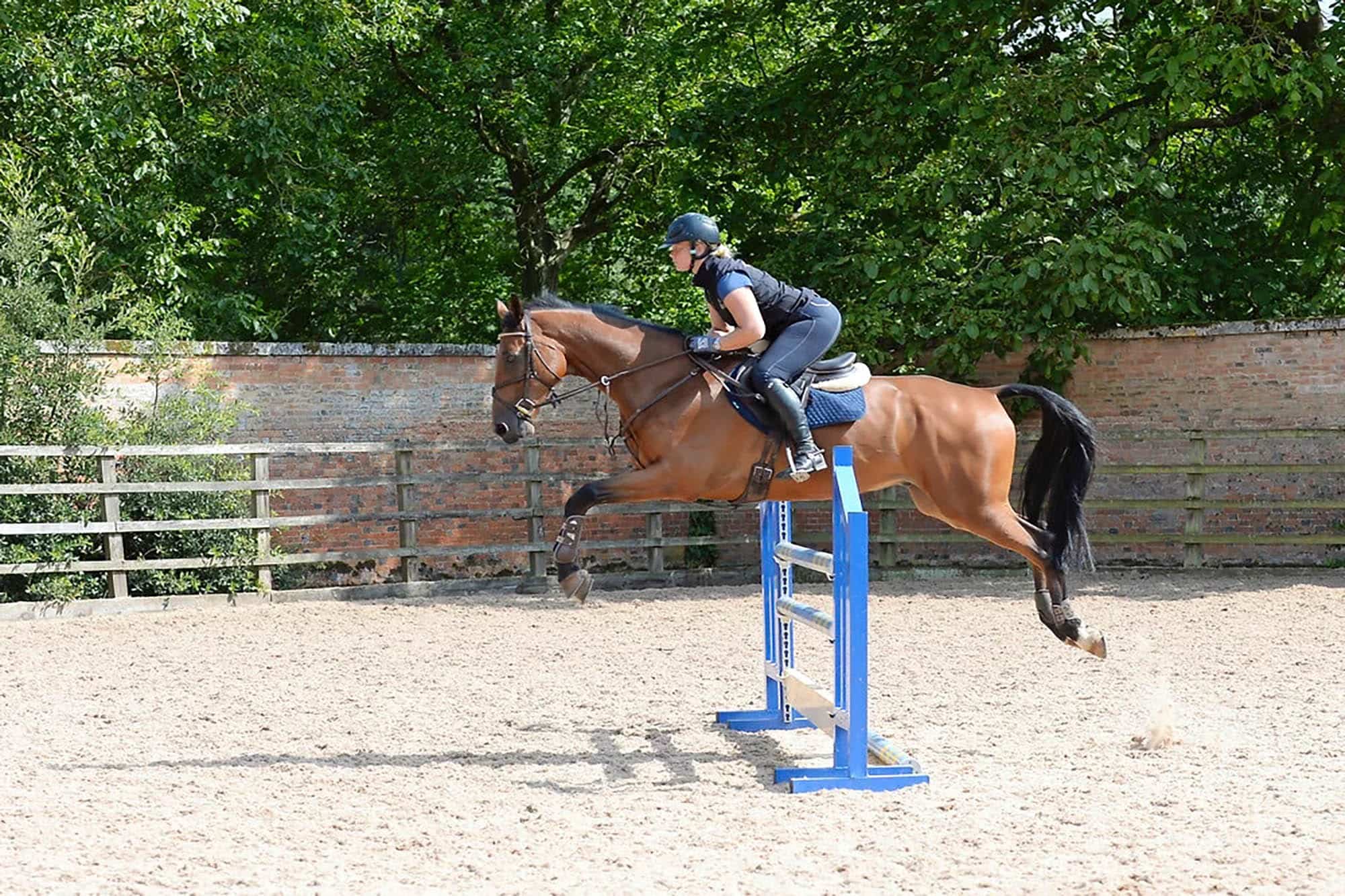 Horse Jumping Lessons Easy Learning
